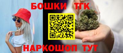 СК Бийск