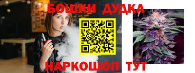 СК Бийск