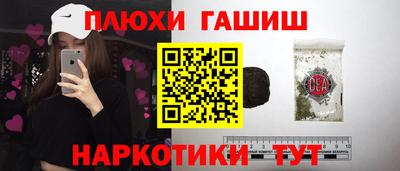 СК Бийск