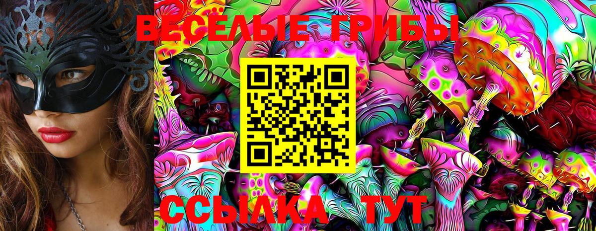 Галлюциногенные грибы Psilocybe  Вход с VPN  Кирово-Чепецк 